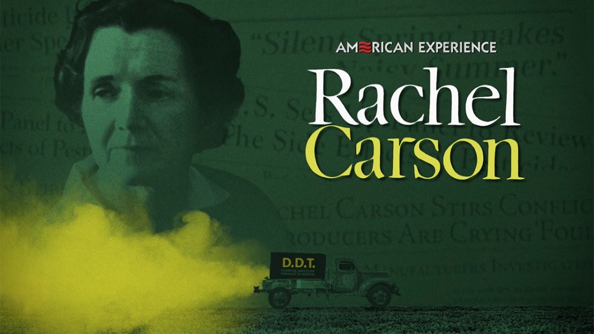 american experience rachel carson