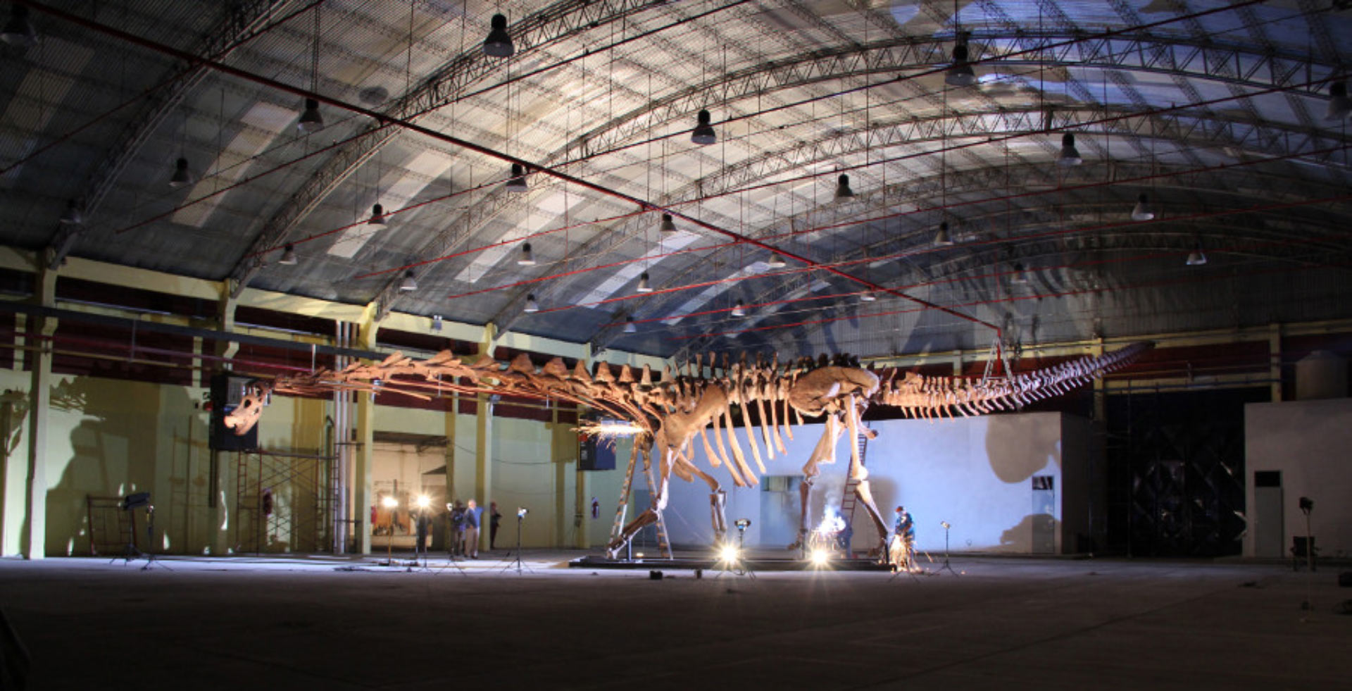 patagotitan field museum