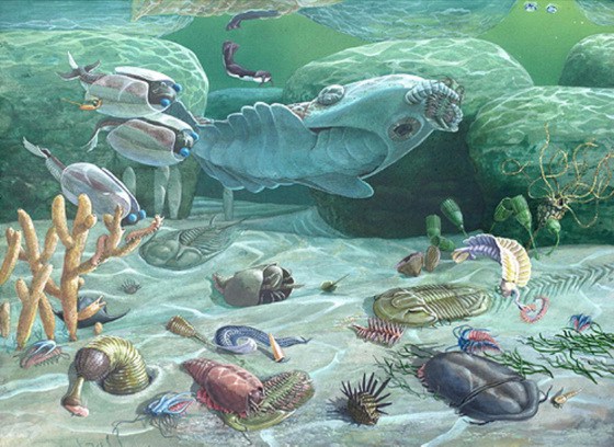 The Cambrian explosion, did all of the major forms of life on Earth ...