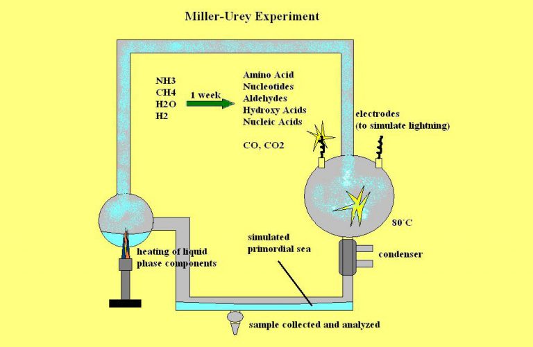 NASA Scientists set up Experiment into the Origins of Life ...