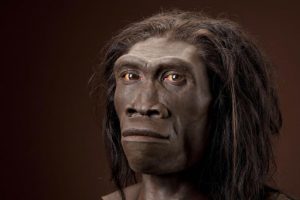 Some new discoveries that demonstrate that our Stone Age ancestors ...