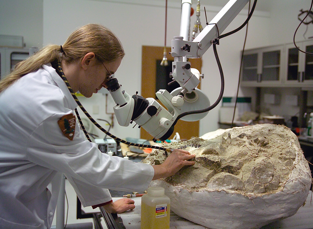 Paleontology News For May 2020 Whats There To Do When Youre Ordered To Stay At Home During A 