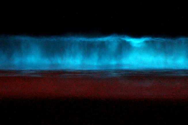 Spongebob's Aurora Borealis (Red Tide Bioluminescence in S…