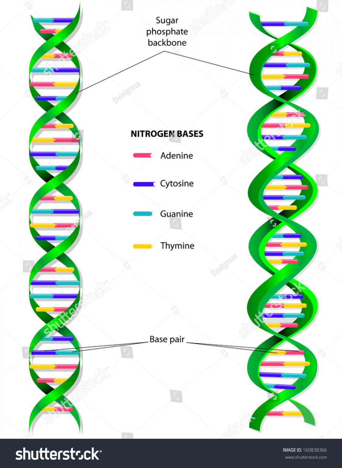Nobel Prizes for 2024 It’s a Big Year for Artificial Intelligence